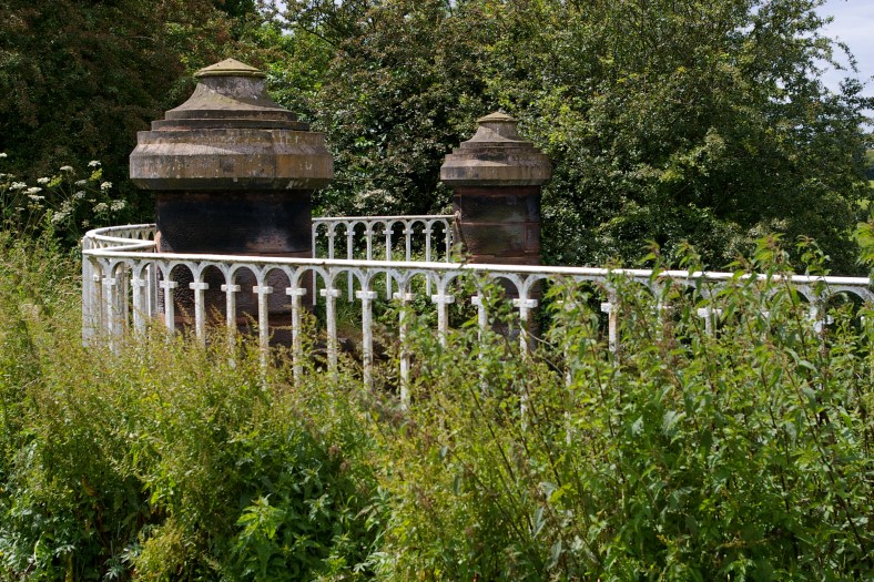 Copyright - Sarah Anne Hall