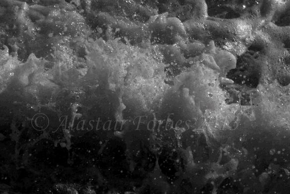 Copyright - Kattermonran