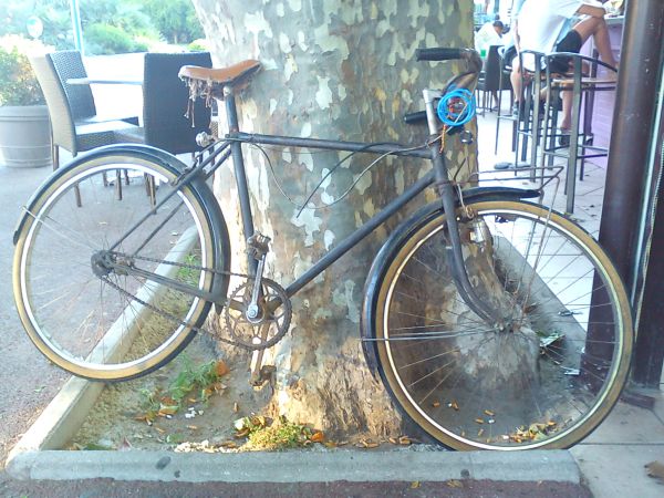 Copyright - anelephantcant