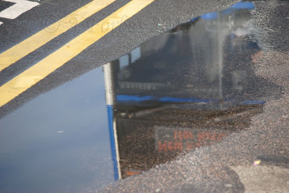 Copyright - Kattermonran