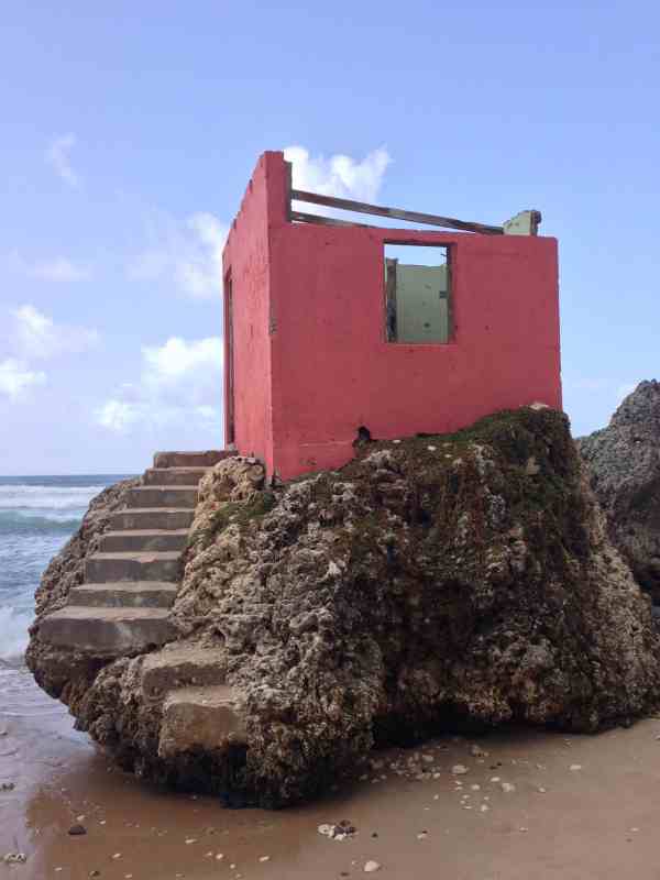 Copyright - Dawn Q. Landau