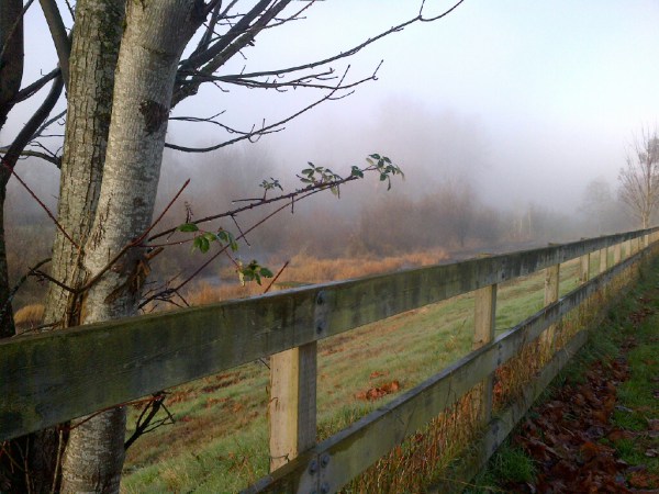 copyright-erin-leary-2