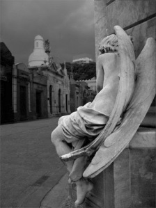 82305c891fe9853002163ce13208adb7